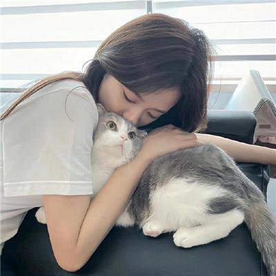 囧贼