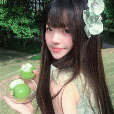 树篱女巫